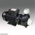 Lingxiao Pump 1.5Hp 2 Speed Pump - Small Frame LI461906